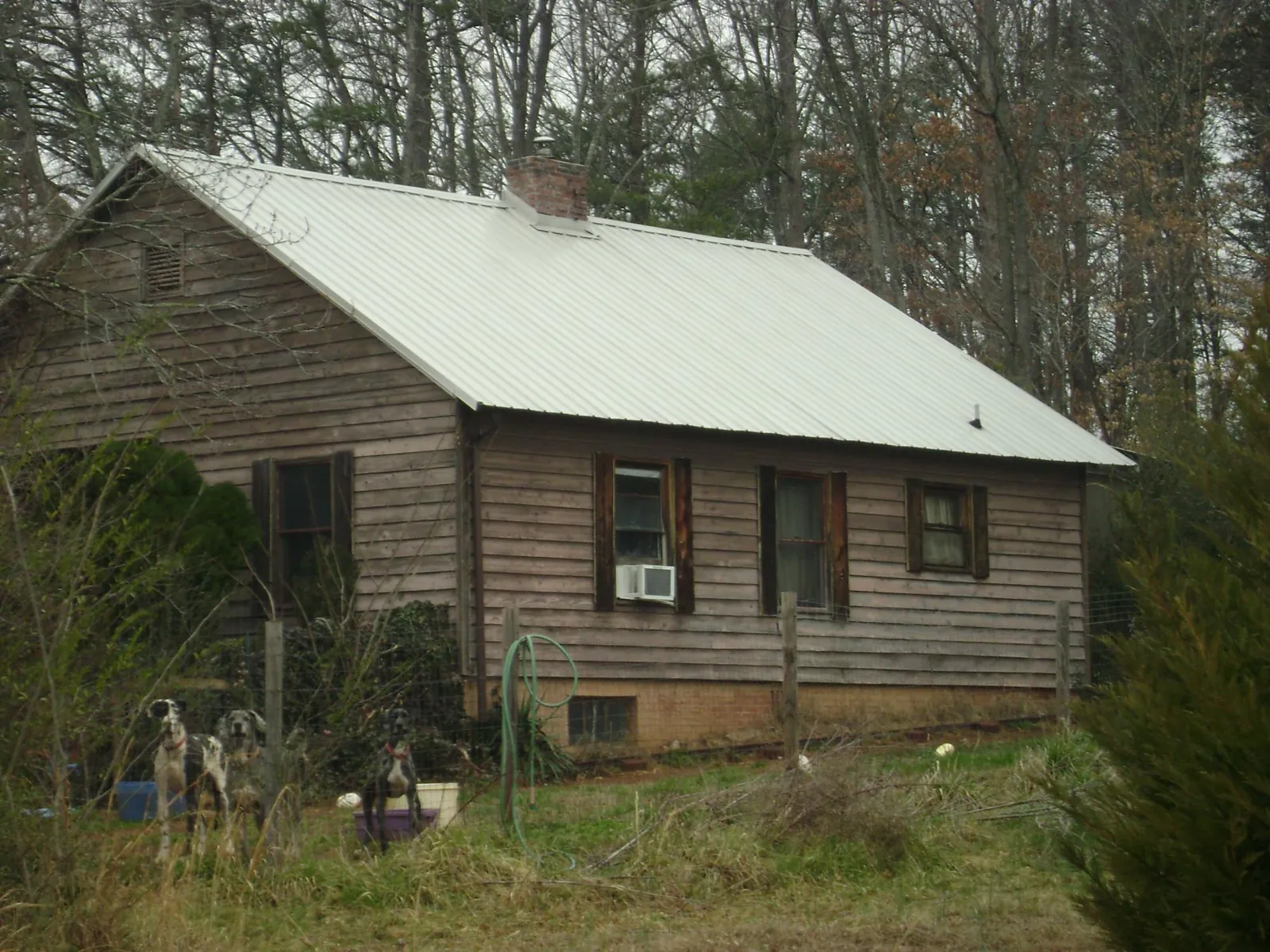 White metal roof on an old wood sided farmhouse, from a Asphalt Shingle Roof Repair job in Westbrook